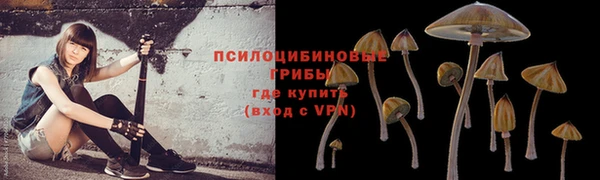 соль курить ск Михайловка