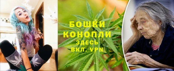 спайс Михайлов